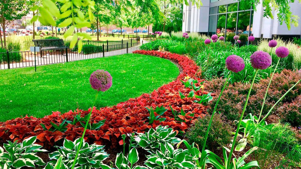 Landscaping & Lawn Care Services for Commercial, HOA and POA properties