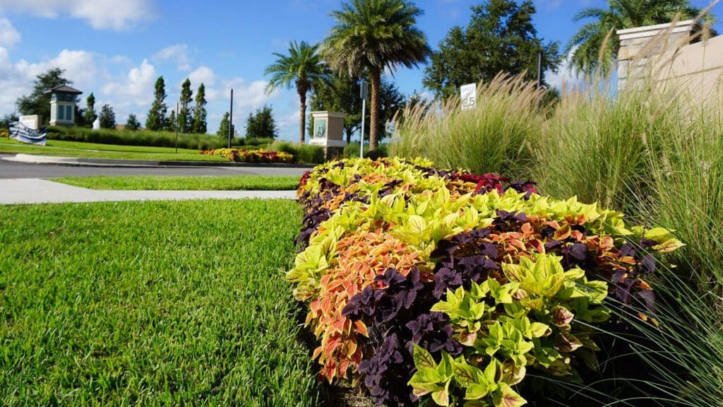 JNR Landscape Enhancement Team has improved the presentation of many properties in the Tampa areas.